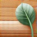 Icon for door maintenance and care instructions